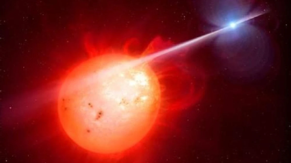 Abbiamo appena scoperto una delle stelle più rare della nostra galassia