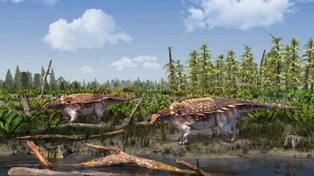 Nuova specie di anchilosauro scoperta sull’Isola dei dinosauri: aveva una corazza armata di “lame”