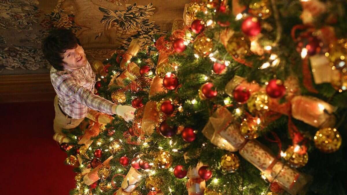 Sindrome dell’albero di Natale, cos’è e quali sono i sintomi dell’allergia alle decorazioni