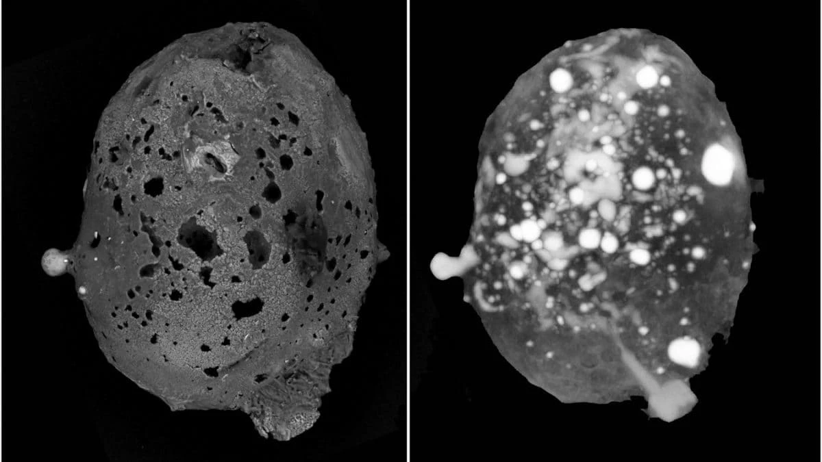 Cosa sono i quasicristalli scoperti in un micrometeorite e perché sono un materiale “impossibile”