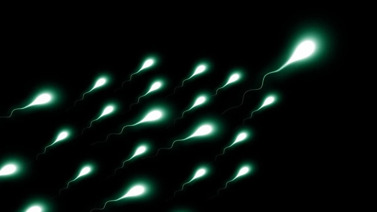 Un nuovo metodo promette di risolvere una delle principali cause di infertilità maschile