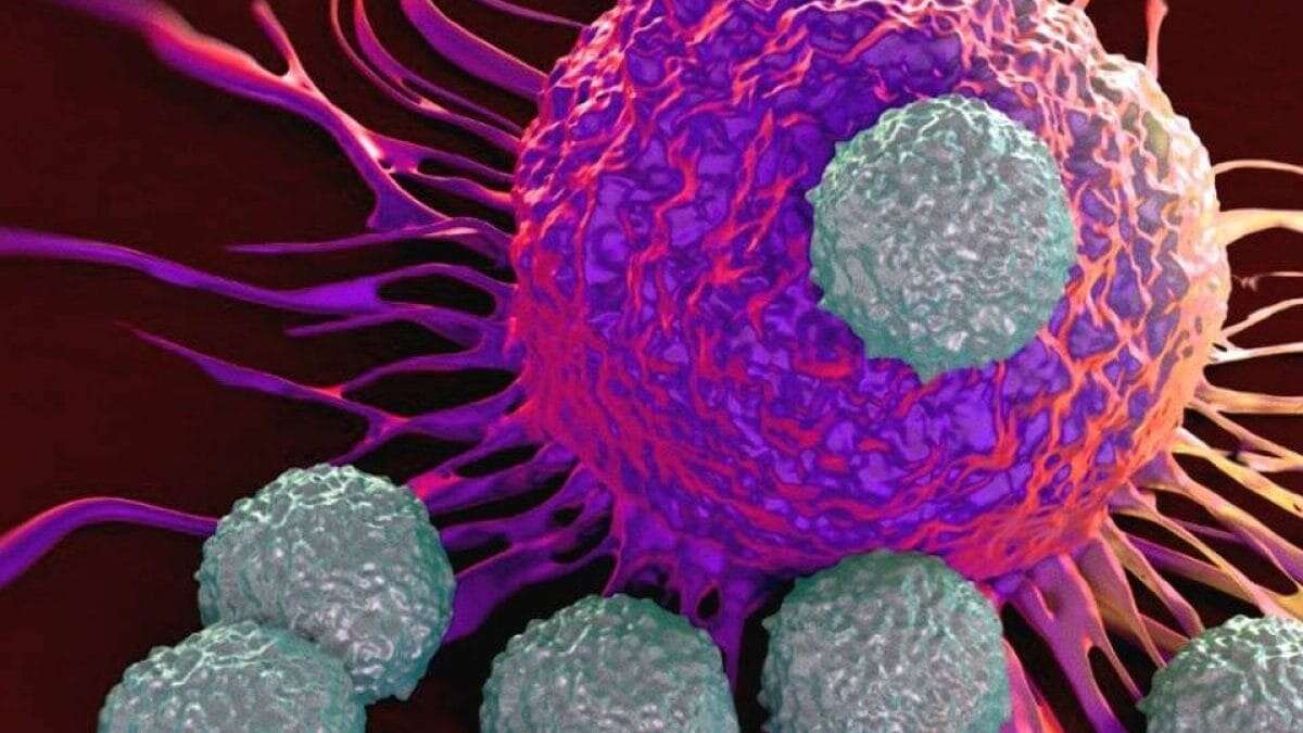 Cancro, scoperto “interruttore” che attiva la morte delle cellule tumorali: possibile svolta