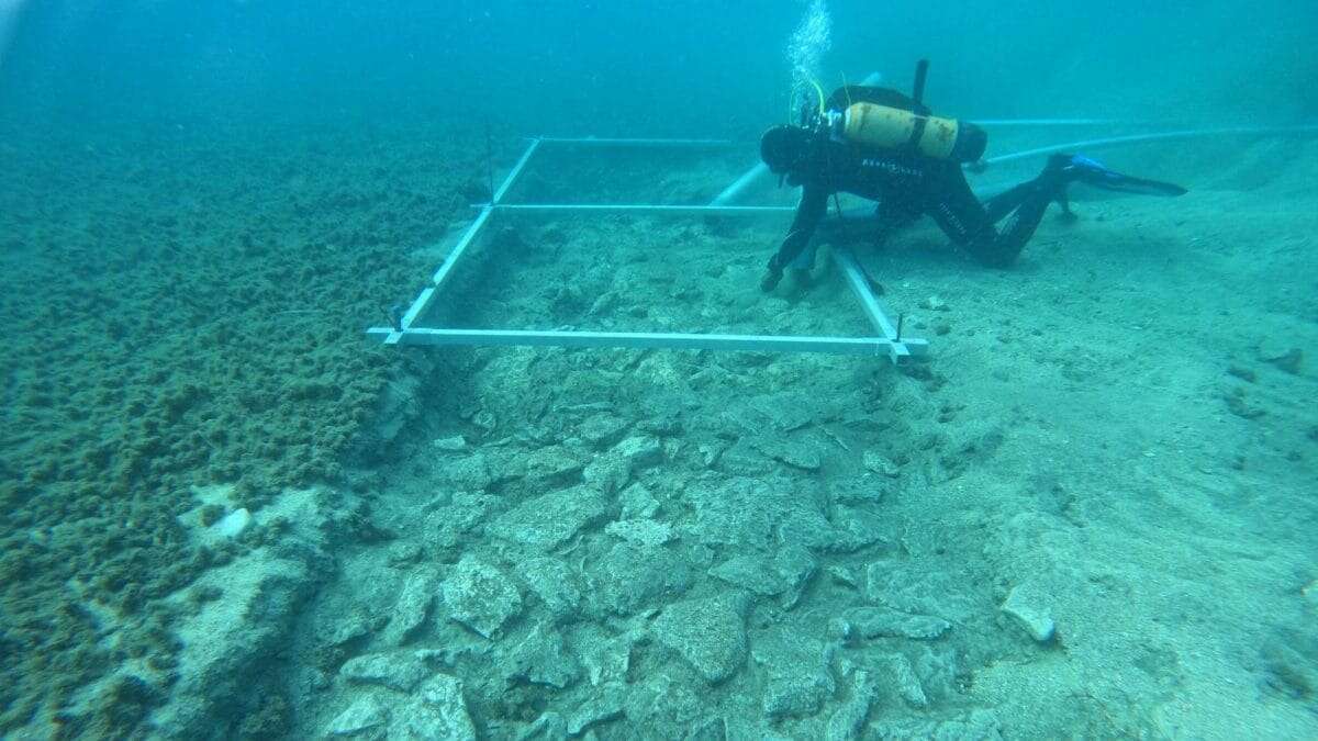 Meravigliosa strada di 7.000 anni scoperta sul fondale del Mar Adriatico: il video