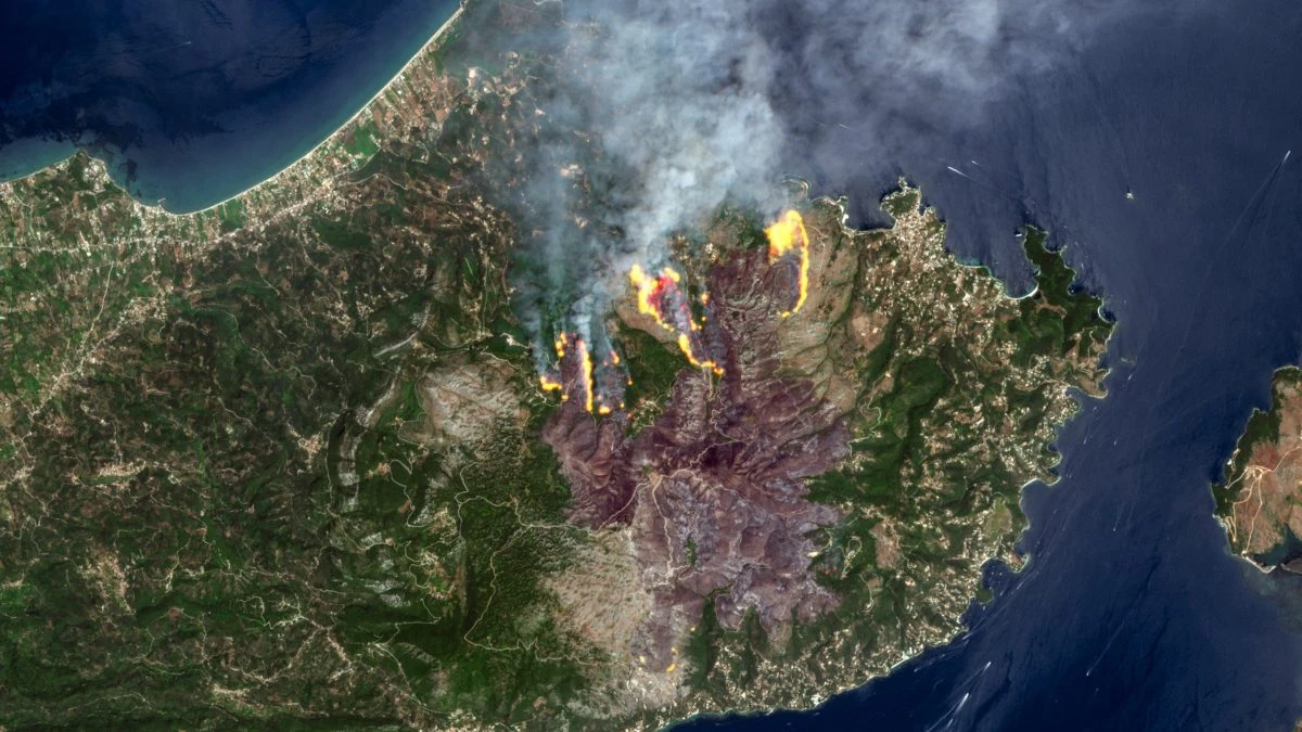 Incendi in Grecia, emesso 1 milione di tonnellate di carbonio: cosa significa e perché è grave