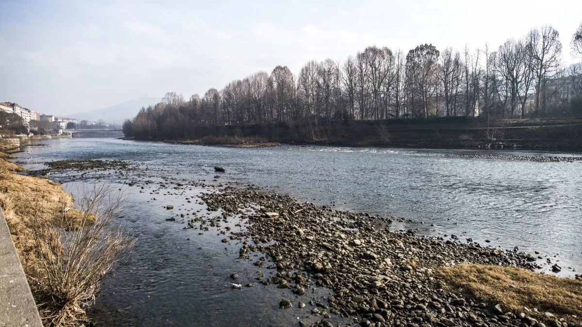 Una coppia trova il teschio di una donna su una spiaggia in riva al Po: è stato in acqua per mesi