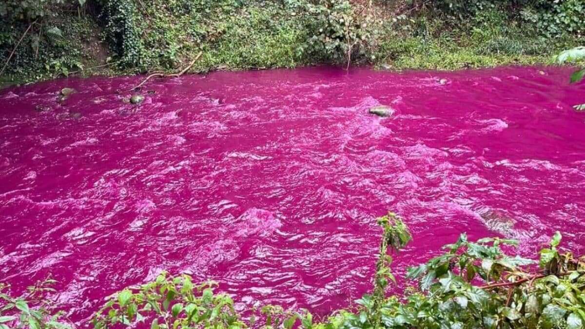 L'acqua del torrente Lura diventa viola, Arpa indaga sulle cause