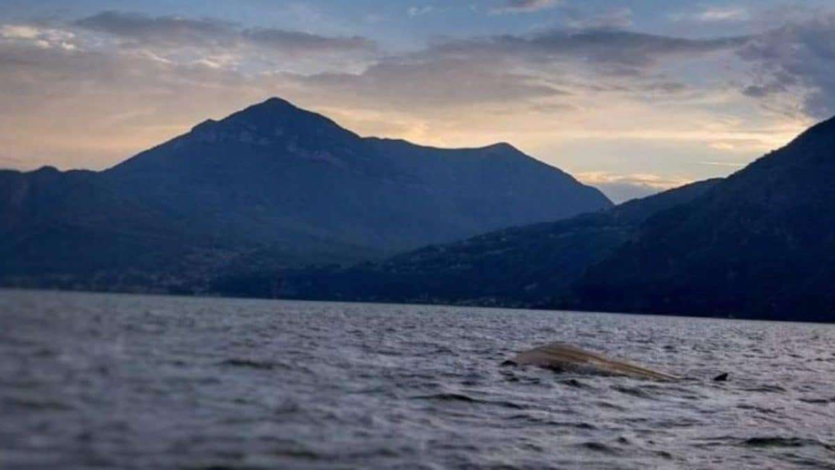 Motoscafo affonda sul lago di Como per il maltempo, 5 persone salvate dalle altre imbarcazioni