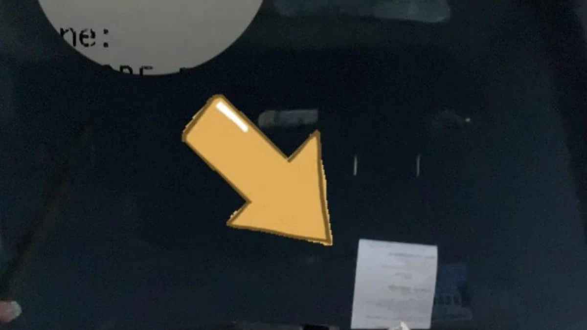 Con l'auto in divieto di sosta al centro sportivo di Totti: raffica di multe per ex calciatori