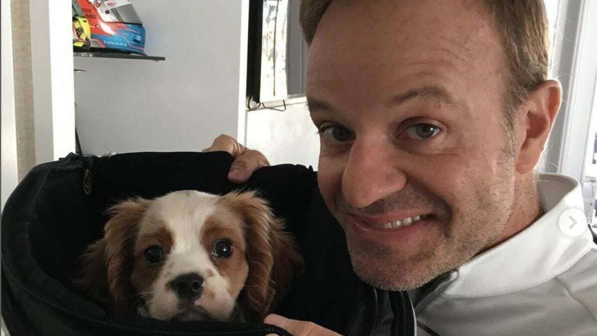 Barrichello devastato per la morte del suo cane: “Ha ingerito 11 mozziconi di sigaretta”