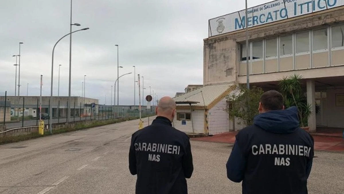 Nas al Mercato Ittico di Salerno, multe per magazzini sporchi e chili di pesce a rischio distrutti
