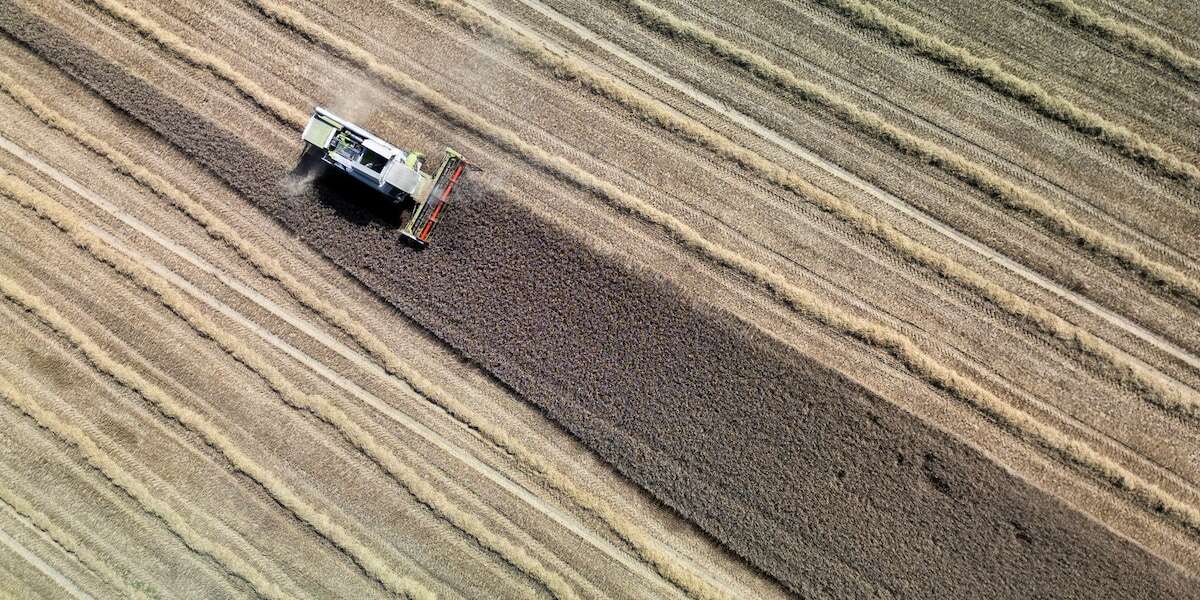 Studie: Landwirtschaft könnte Treibhausgase stark reduzieren