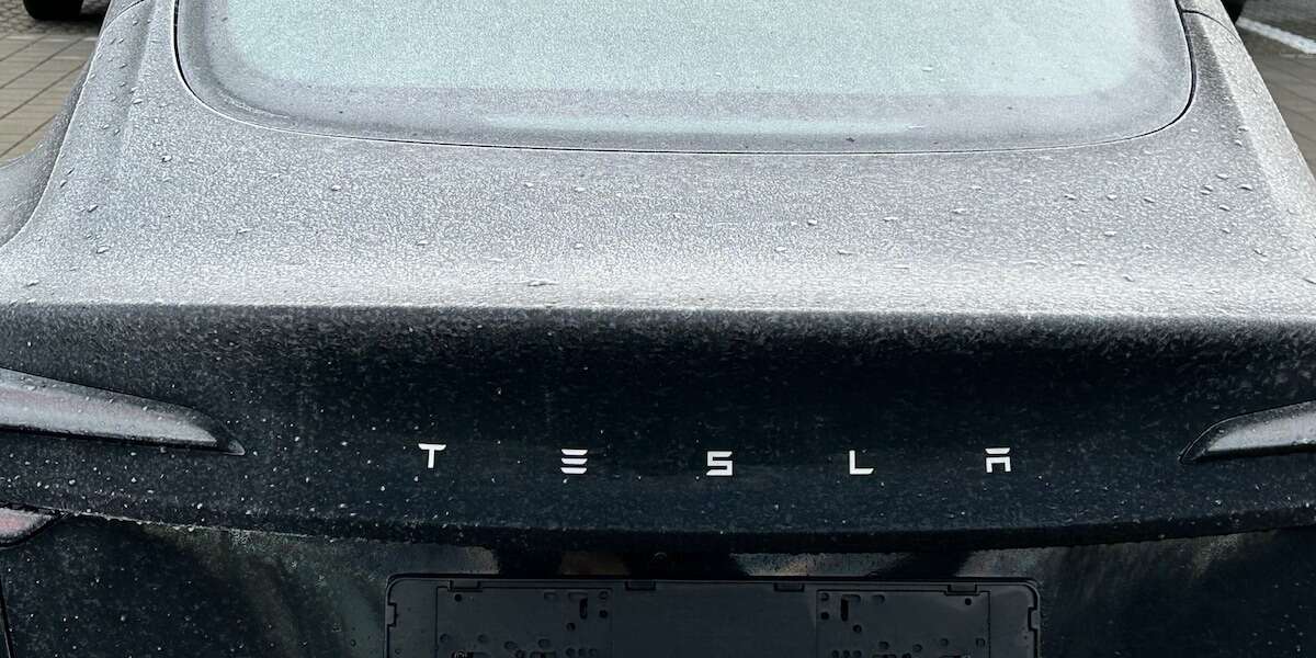 Trotz Elon Musk - Tesla Model 3 bleibt beliebtester Elektro-Gebrauchtwagen