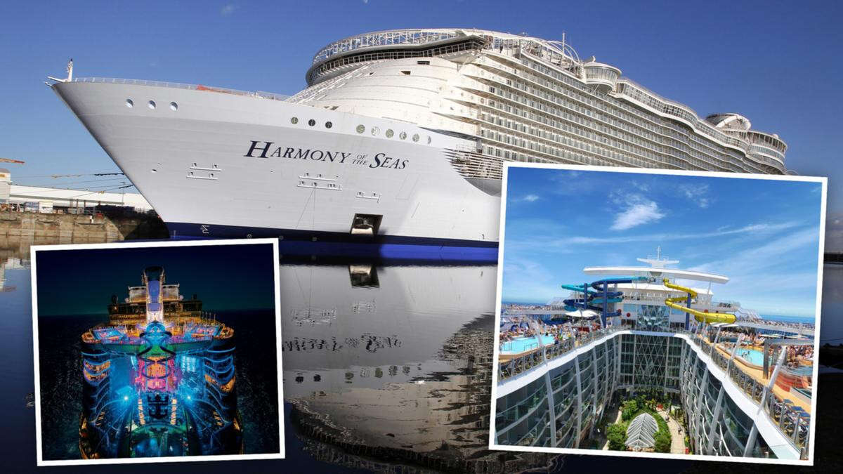 Cruise horror as boy topples over rails, falls to his death