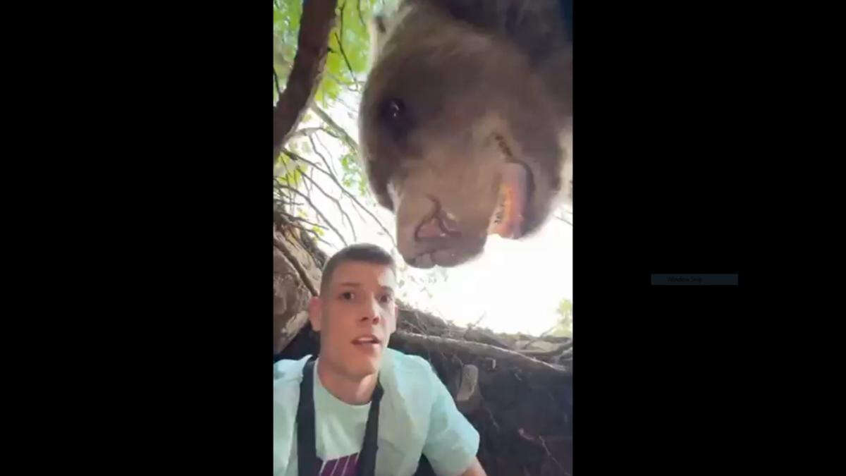 Man’s wild close call with BEAR after being found in den