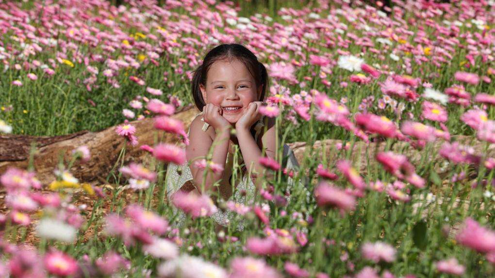 Here’s the best chance in Perth to see the wildflowers