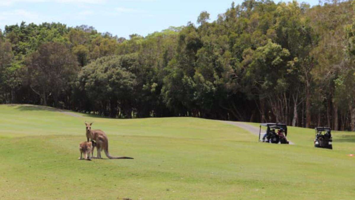 Billionaire under fire over golf course gate