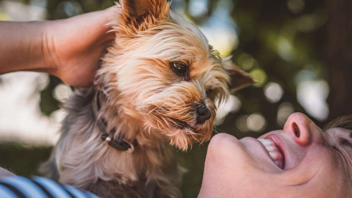 Man’s best friend better for women: study