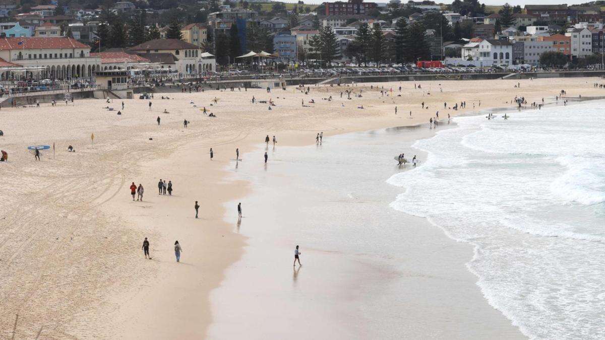 Four men charged in Bondi drug blitz