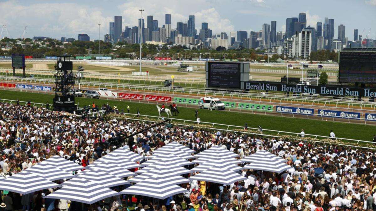 Sea King out to lead home Euro Melbourne Cup raiders