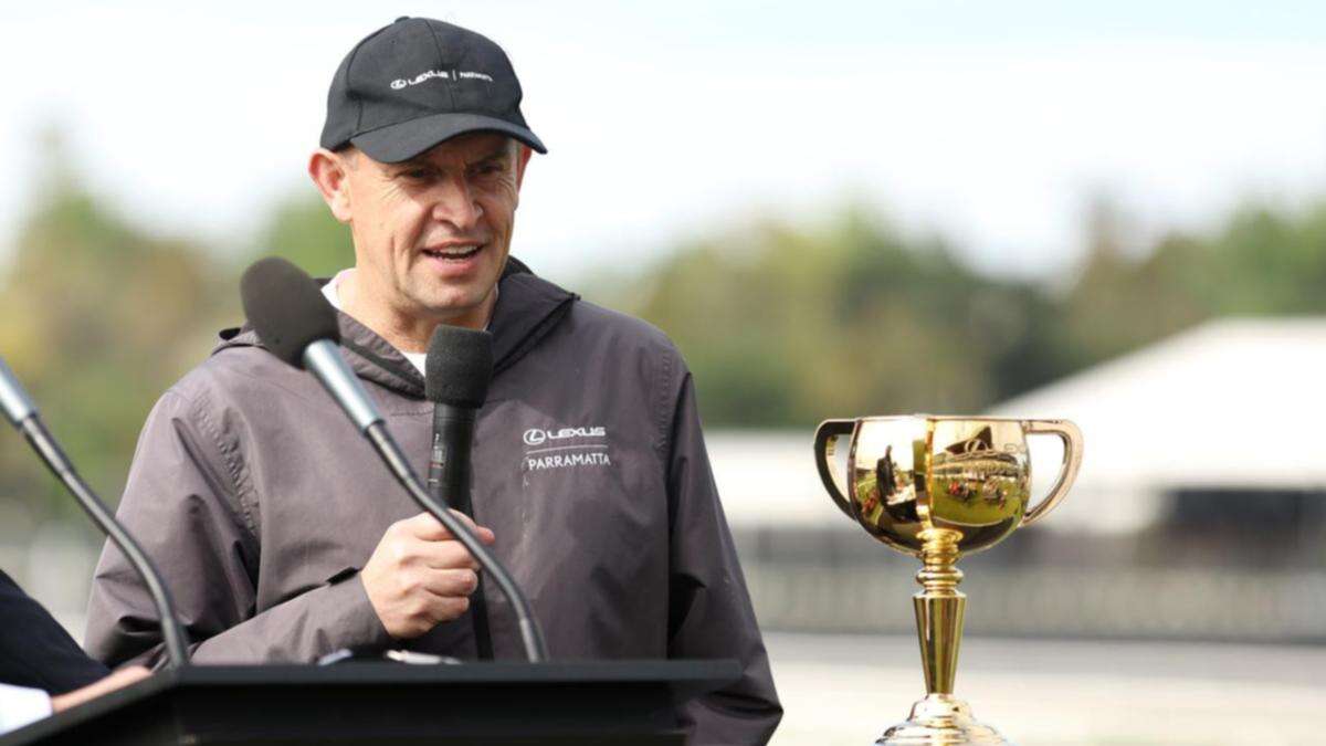 Melbourne Cup fancies Vauban, Buckaroo ready to fire