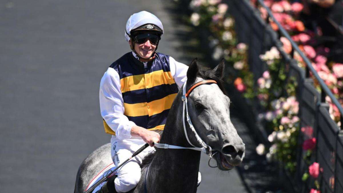 J-Mac continues hot Flemington form on Cup day