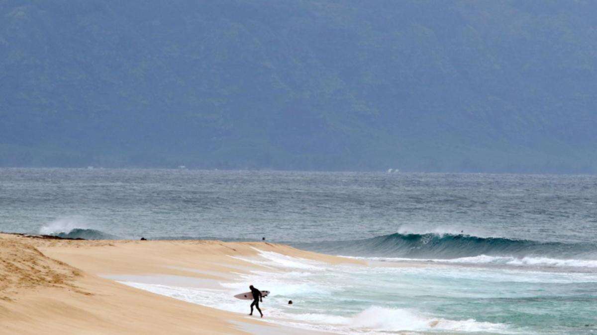 Surfer's leg 'severed at knee' in Hawaii shark attack