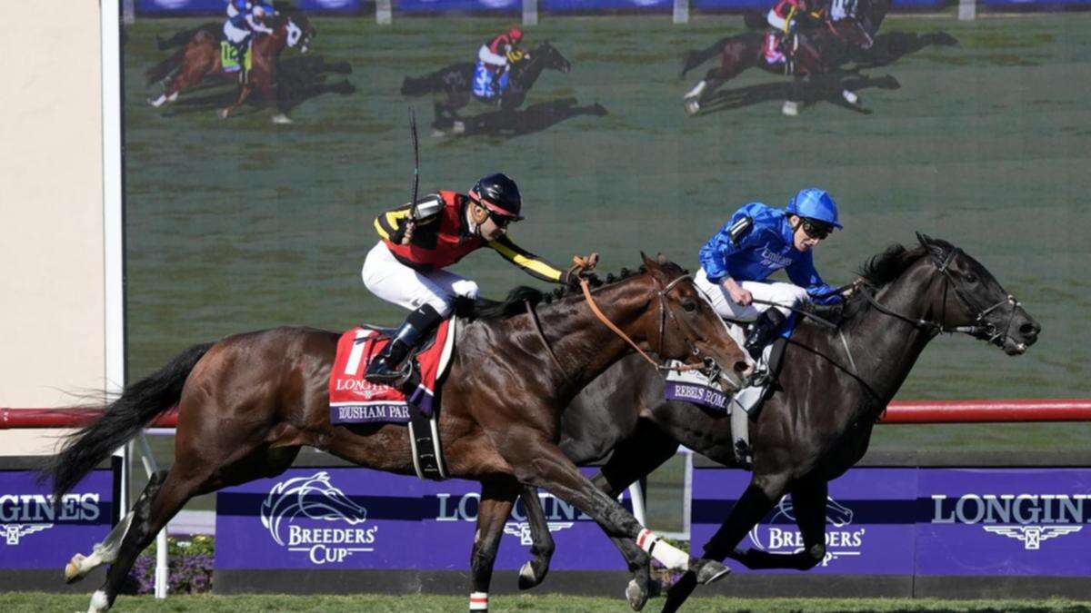 Rebel's Romance salutes again in Breeders' Cup Turf