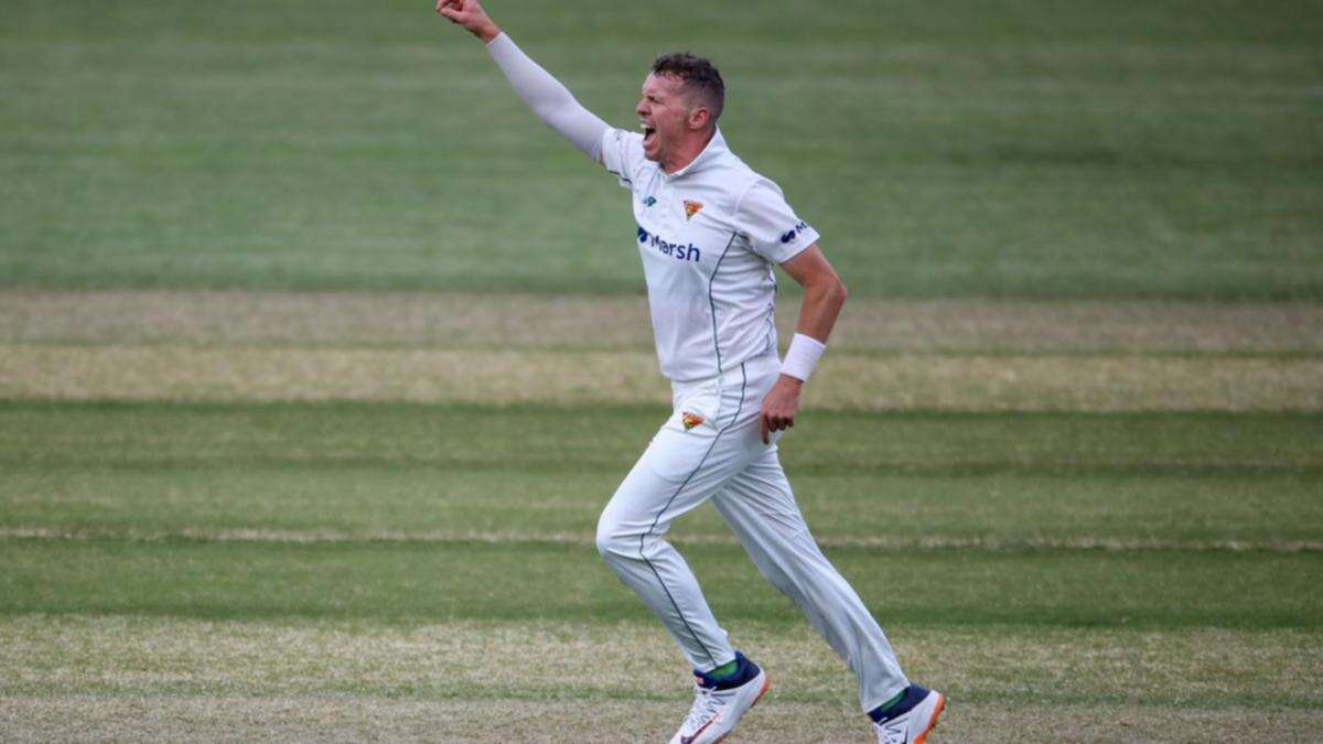 Ageless Siddle boosts depleted Vics against SA