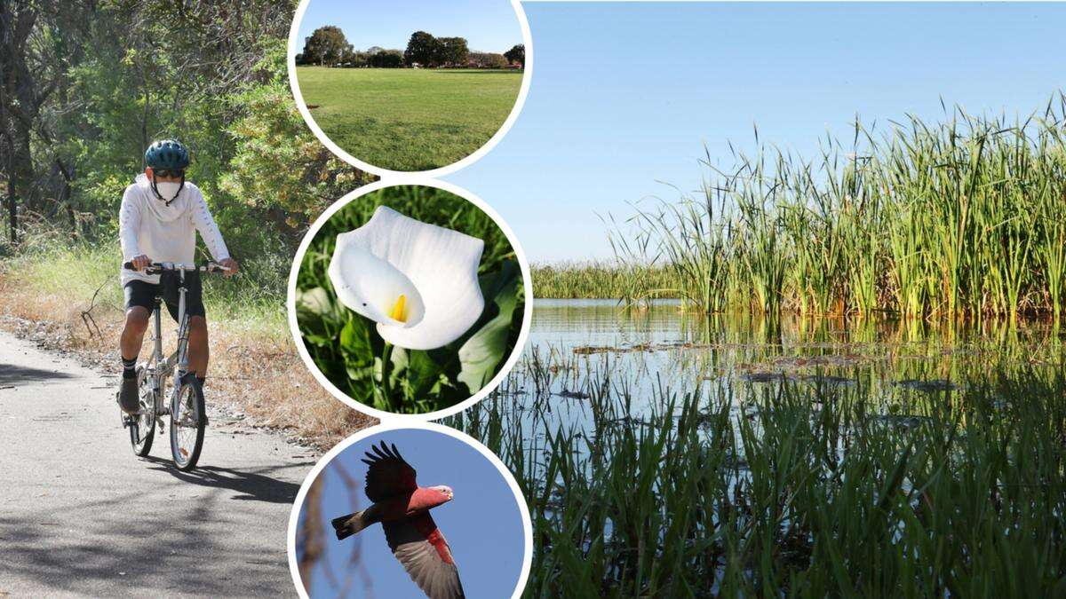 Wonderful Wetlands: Perth’s southwest ‘hidden gem’