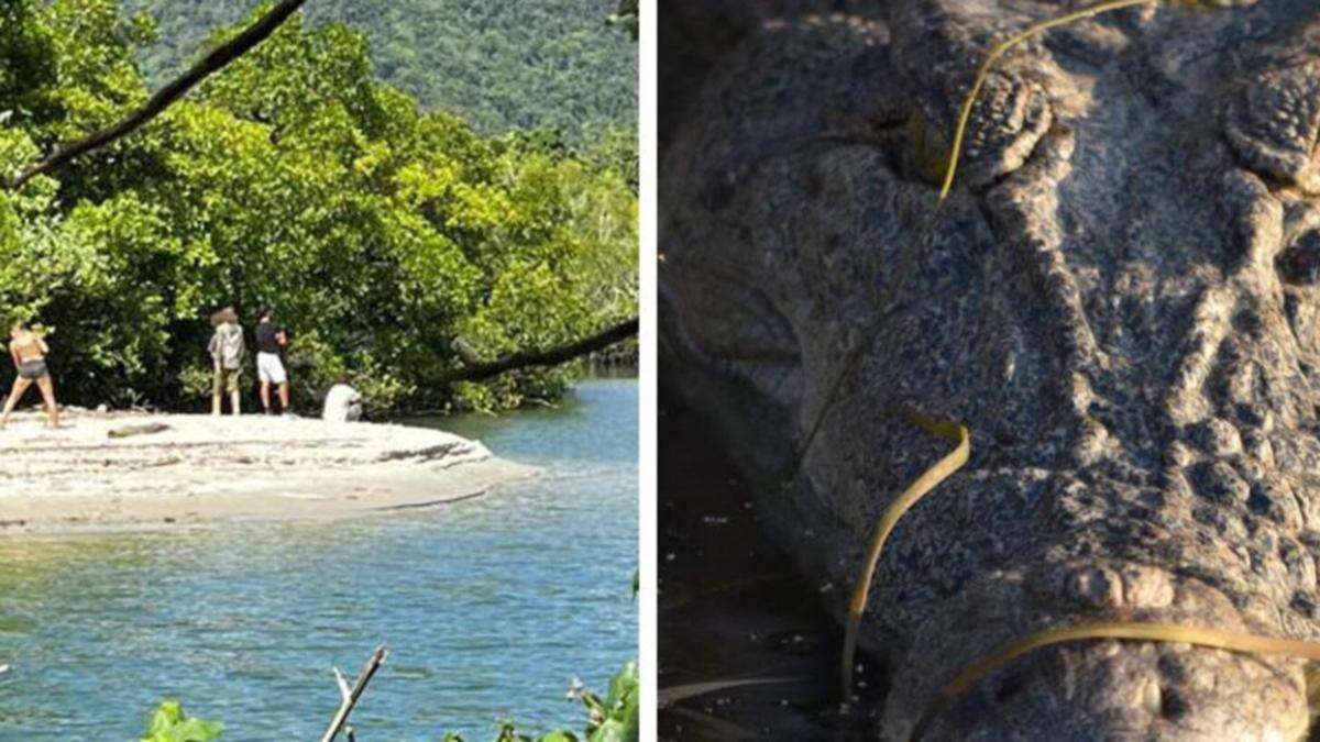 ‘Stupid’ act in crocodile-infested creek