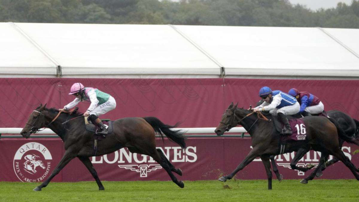 Late entry Bluestocking wins Prix de l'Arc de Triomphe