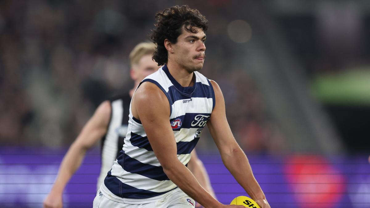 Rising West Aussie defender extends deal with Cats