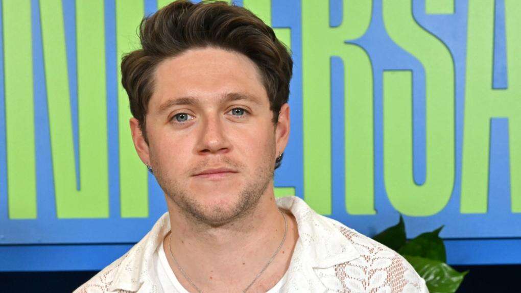 One Direction star Niall Horan announces he is to 'disappear' from the spotlight