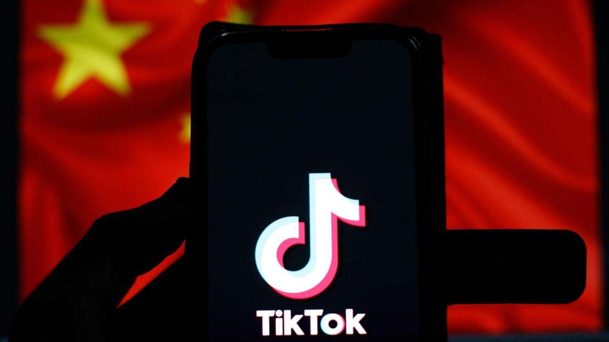 ’Risk’: Albo urged to take action on TikTok