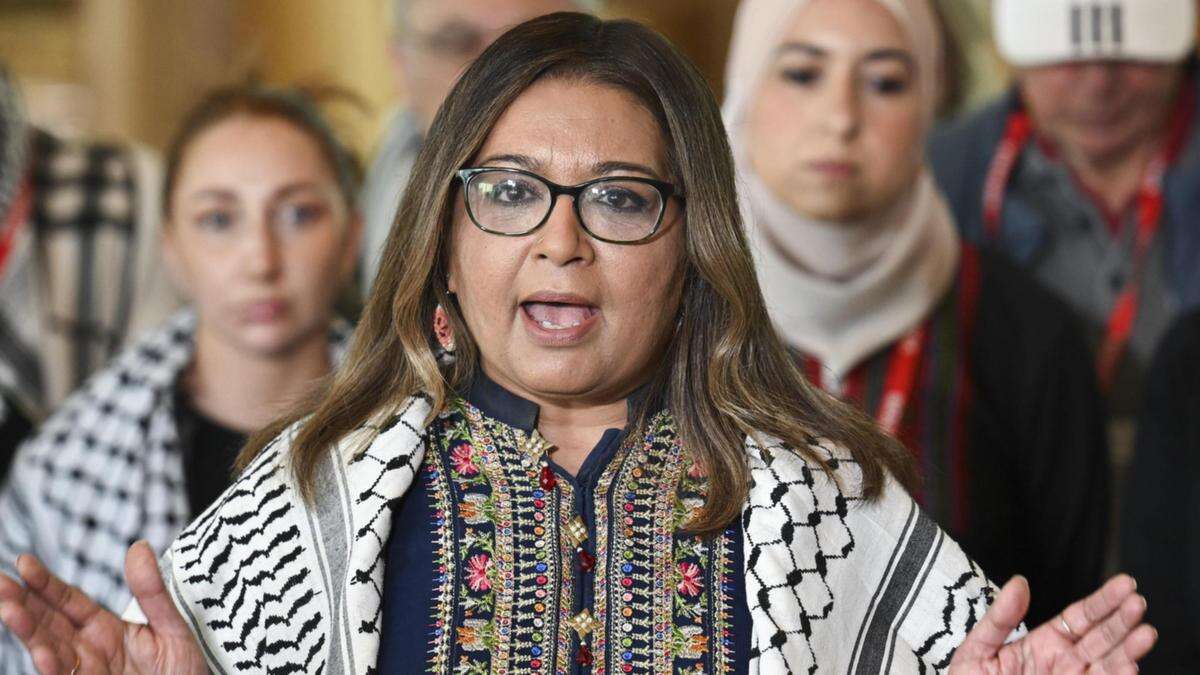 ‘Complicity’: Faruqi lashes Labor on Gaza