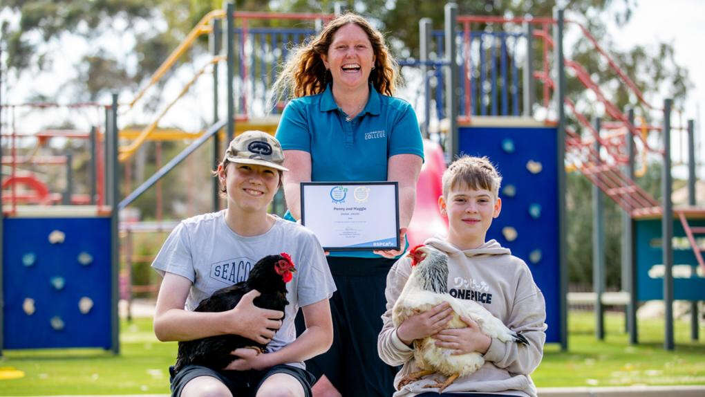 Award-winning therapy chickens helping school kids cope