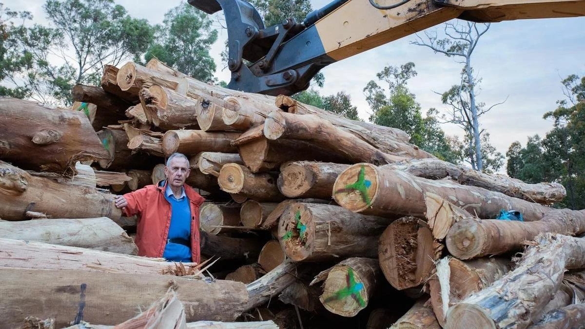 Bob Brown loses High Court bid on logging