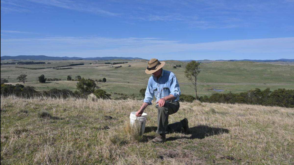 Digging it: regenerative farmers keen to spread word