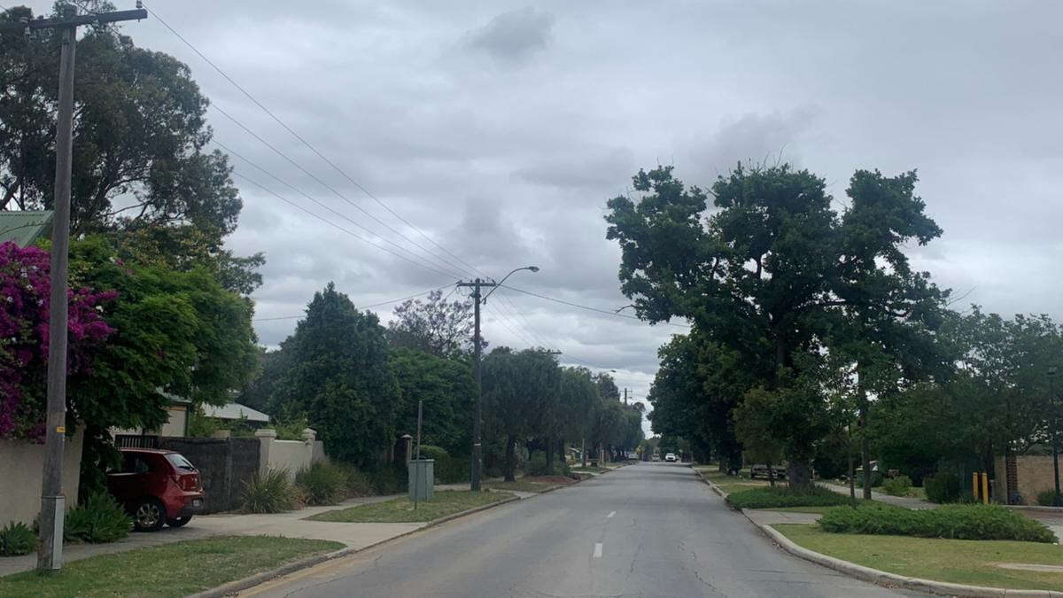 Perth Now exclusiveREVEALED: Suburb where locals are banned from removing trees