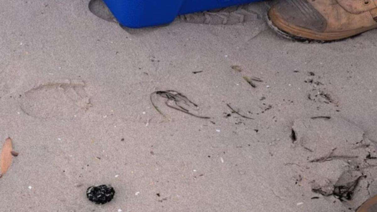 New mystery over ‘tar balls’ on Sydney beach