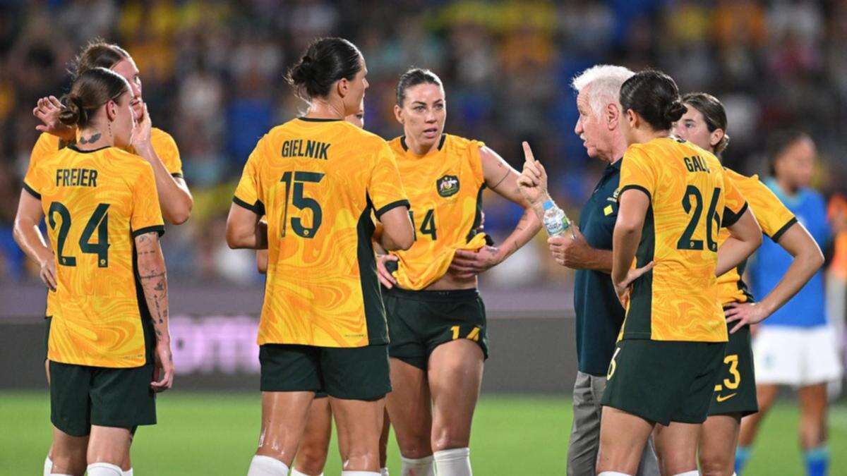 Matildas haven't planned for the future well: Sermanni