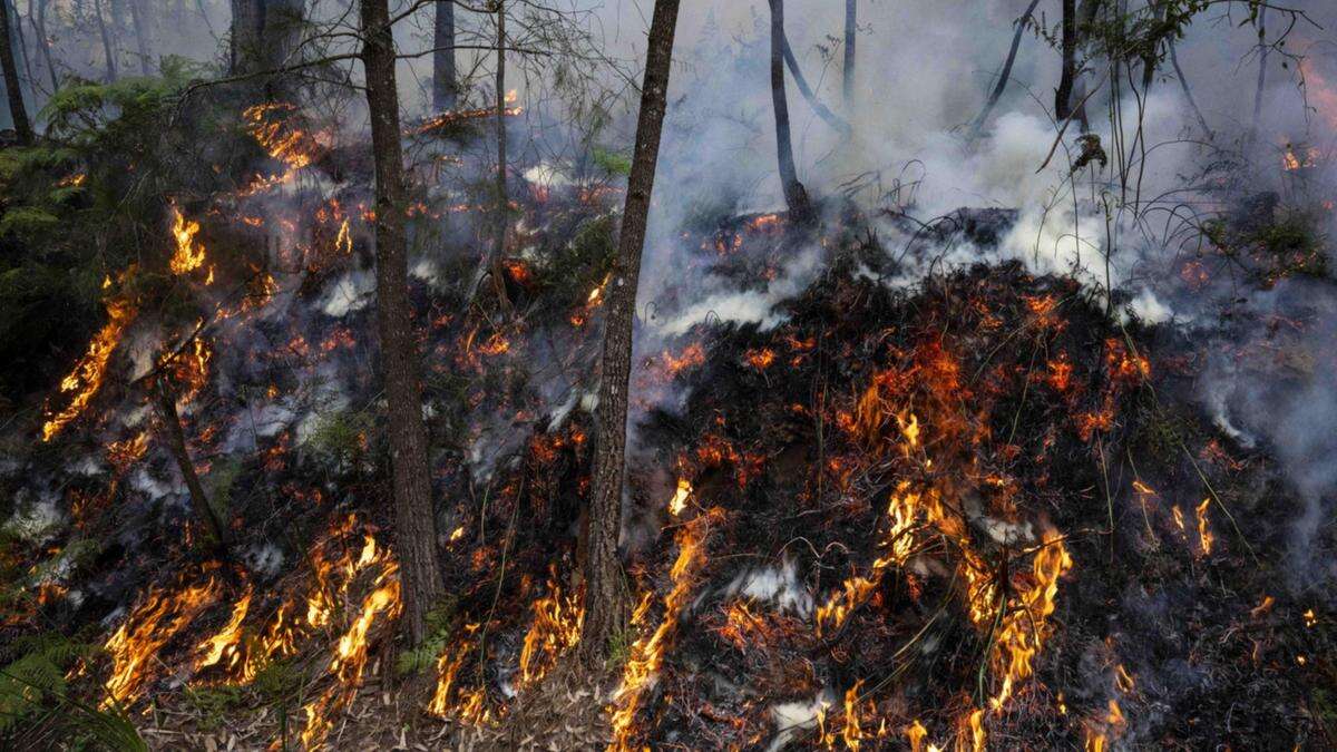 ’Pretty grim’: Scary bushfire warning