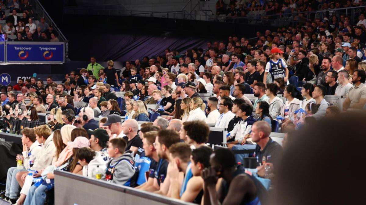 NBL puts clubs on notice after courtside melee