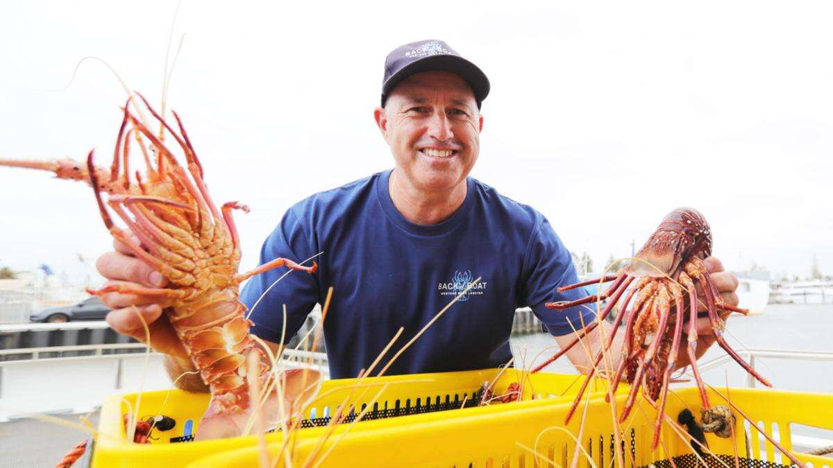 Popular seafood sale back for Christmas at ports across WA