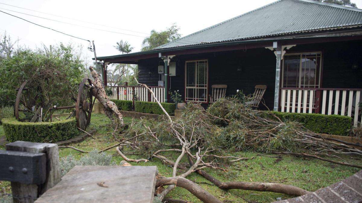 Chaos as storm rips trees, roofs, fences