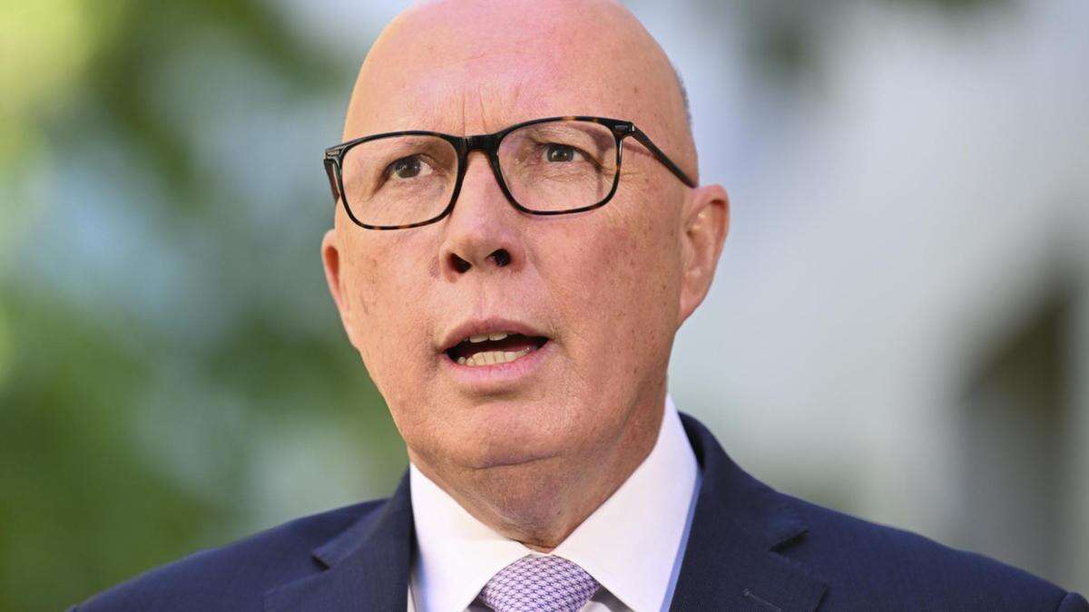 Dutton vows to scrap controversial project