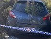 Teen allegedly carjacked Coles worker