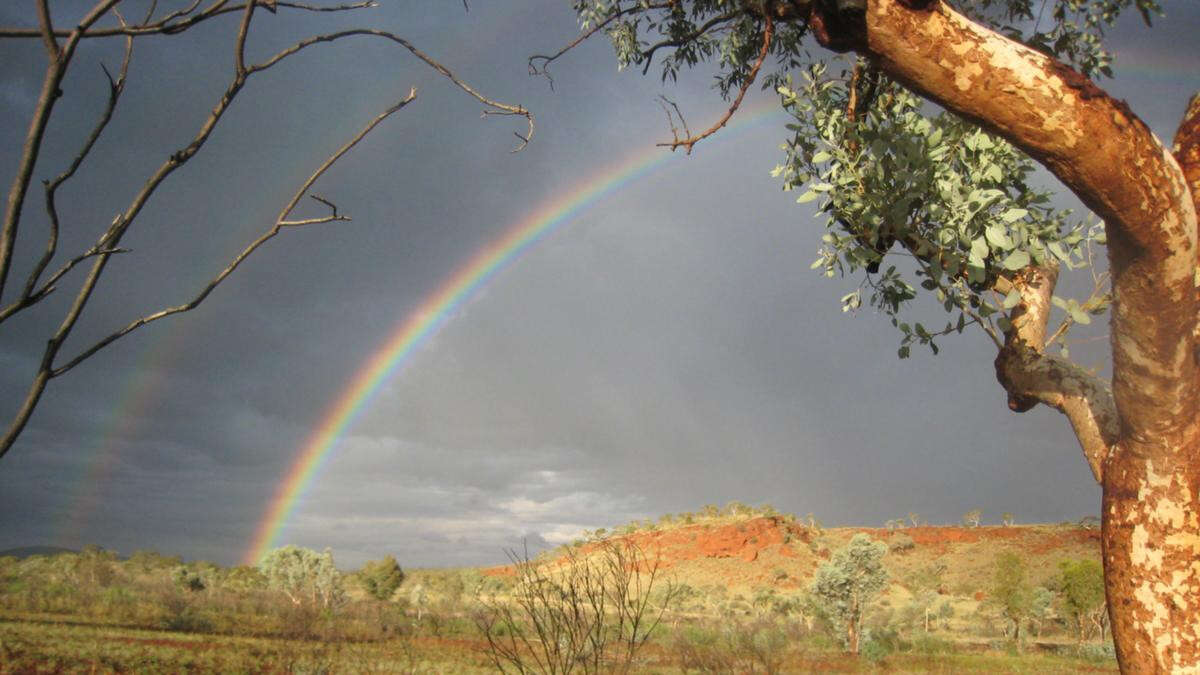 Thunderstorms, 40C temperatures expected across WA