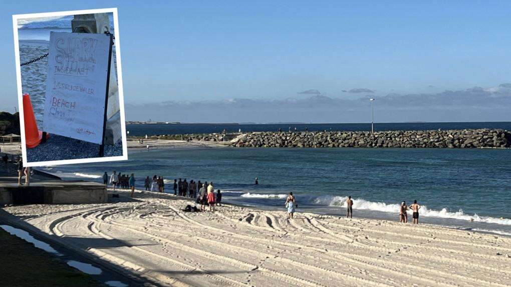 breakingCottesloe Beach shark scare forces swimmers out of water