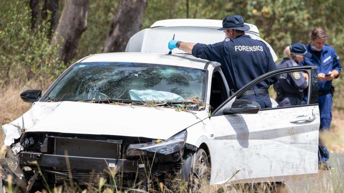 Shots fired at police during wild chase